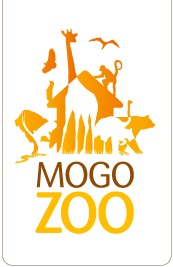 Mogo Zoo - Accommodation Mount Tamborine 0