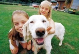 Camberwell Shopping Centre - Accommodation Mount Tamborine 2
