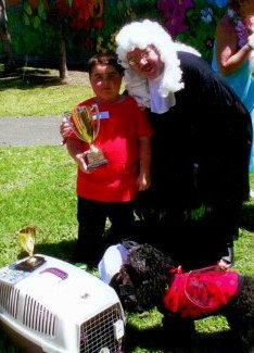 Mountain Gate Shopping Centre - Accommodation Mount Tamborine 1