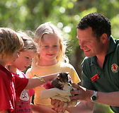 Cleland Wildlife Park - Accommodation Mount Tamborine
