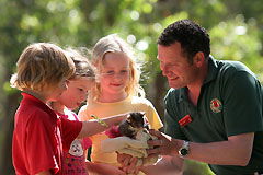Cleland Wildlife Park - Accommodation Mount Tamborine 0