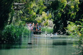 Cleland Wildlife Park - Accommodation Mount Tamborine 1