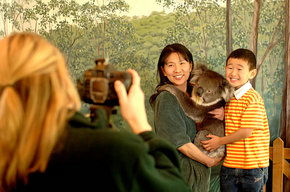 Cleland Wildlife Park - Accommodation Mount Tamborine 2