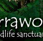 Warrawong Wildlife Park - Accommodation Mount Tamborine