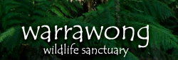 Warrawong Wildlife Park - Accommodation Mount Tamborine 0