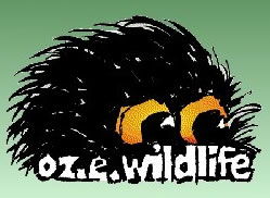 OZe Wildlife - Accommodation Mount Tamborine 0