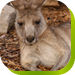 Accommodation Mount Tamborine