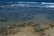 Canberra Contemporary Art Space - Accommodation Mount Tamborine