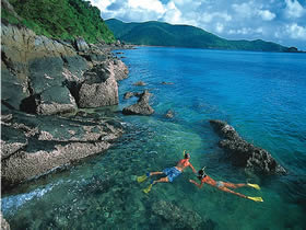 Llewellyn Dive Site - Accommodation Mount Tamborine 0