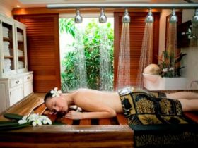 Palm Cove QLD Accommodation Mount Tamborine