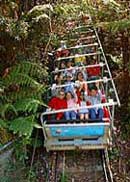 Scenic World Blue Mountains - Accommodation Mount Tamborine 2