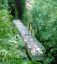 Scenic World Blue Mountains - Accommodation Mount Tamborine 3