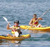 Manly Kayaks - Accommodation Mount Tamborine