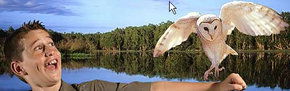 Territory Wildlife Park - Accommodation Mount Tamborine 2