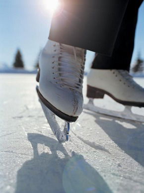 Olympic Ice Skating Centre - Accommodation Mount Tamborine 0