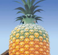 The Big Pineapple - Accommodation Mount Tamborine