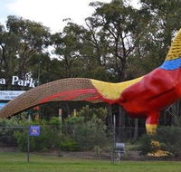 Gumbuya Park - Accommodation Mount Tamborine
