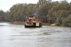 Emmylou Paddle Steamer - Accommodation Mount Tamborine 1