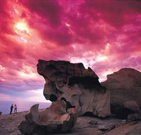 Kangaroo Island Adventure Tour 2 day/1 night - Accommodation Mount Tamborine