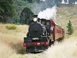 Storeyline Tours - Accommodation Mount Tamborine 2