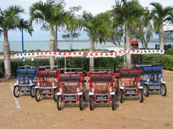 Beach Safaris - Accommodation Mount Tamborine 1