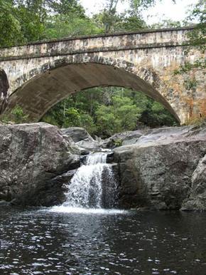 Kookaburra Tours - Accommodation Mount Tamborine 3