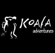 Koala Adventures - Accommodation Mount Tamborine