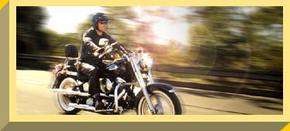 Easy Rider - Accommodation Mount Tamborine 1