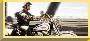 Easy Rider - Accommodation Mount Tamborine 2