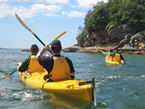 Sydney Harbour Kayaks - Accommodation Mount Tamborine 1