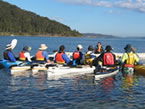 Sydney Harbour Kayaks - Accommodation Mount Tamborine 2
