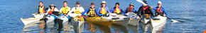 Sydney Harbour Kayaks - Accommodation Mount Tamborine 3