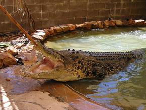 North West WA Accommodation Mount Tamborine