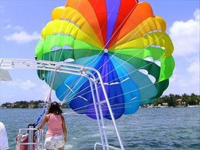 Parasail Australia - Accommodation Mount Tamborine 3