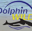 Dolphin Wild - Accommodation Mount Tamborine