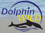 Dolphin Wild - Accommodation Mount Tamborine 0