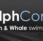 Dolphcom - Dolphin  Whale Swimming Adventures - Accommodation Mount Tamborine