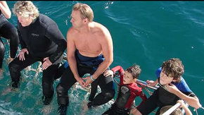 Dolphcom - Dolphin & Whale Swimming Adventures - Accommodation Mount Tamborine 2
