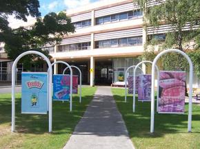 Cadbury Chocolate Factory Tour - Accommodation Mount Tamborine 2
