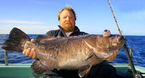 Bravo Fishing Charters - Accommodation Mount Tamborine 0