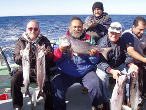 Bravo Fishing Charters - Accommodation Mount Tamborine 1