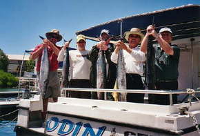 Sea Master Fishing Charters - Accommodation Mount Tamborine 1