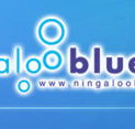Ningaloo Blue Dive - Accommodation Mount Tamborine