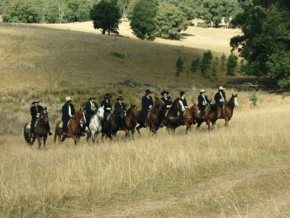 McCormacks Mountain Valley Trail Rides - Accommodation Mount Tamborine 0