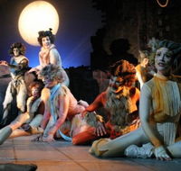 Harvest Rain Theatre Company - Accommodation Mount Tamborine
