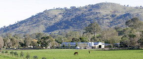 Blue Gum Farm - Accommodation Mount Tamborine 1
