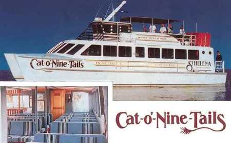 Cat O' NineTails - Accommodation Mount Tamborine 1