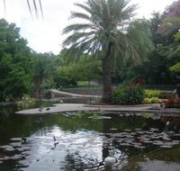 Brisbane City Botanic Gardens - Accommodation Mount Tamborine