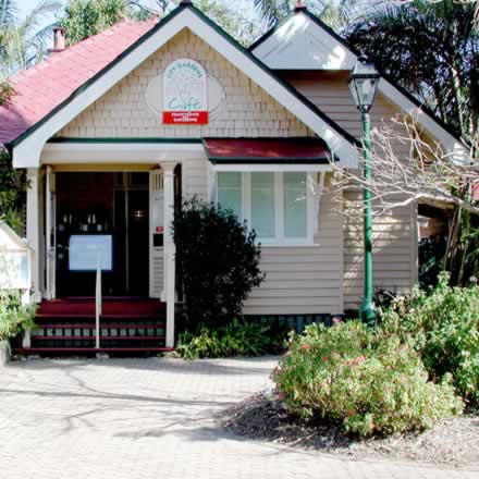 Brisbane City Botanic Gardens - Accommodation Mount Tamborine 2