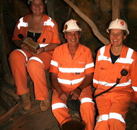 Mining Hall of Fame - Accommodation Mount Tamborine